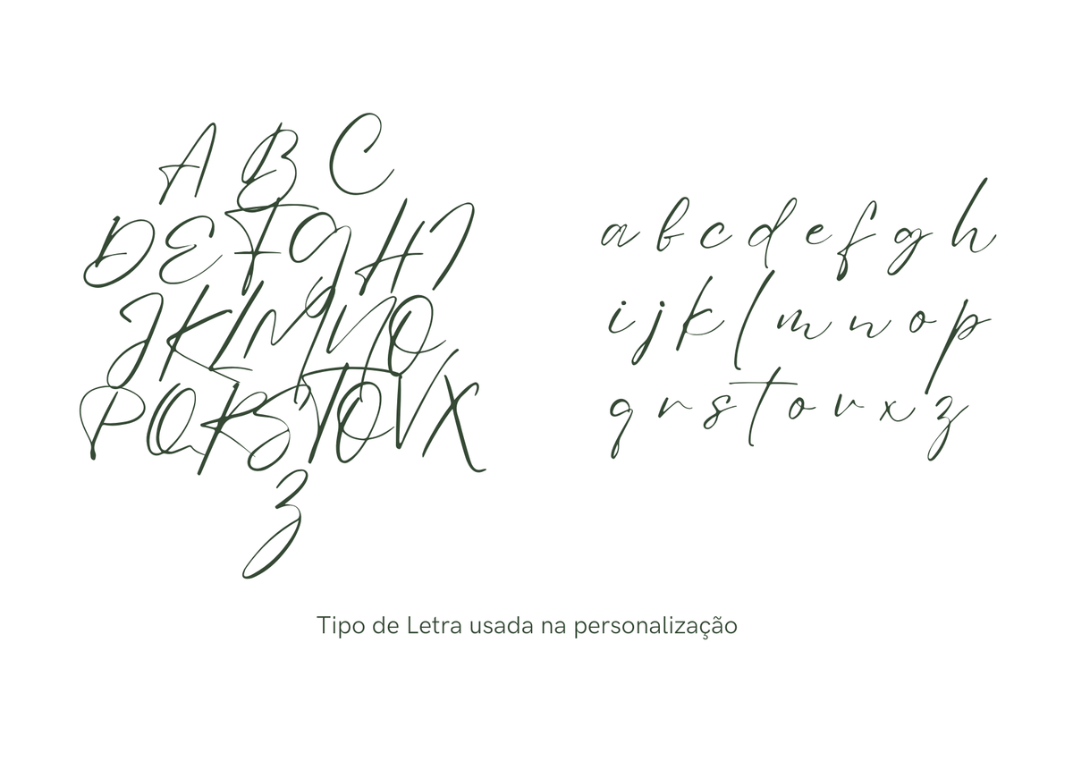 Cesta Lara